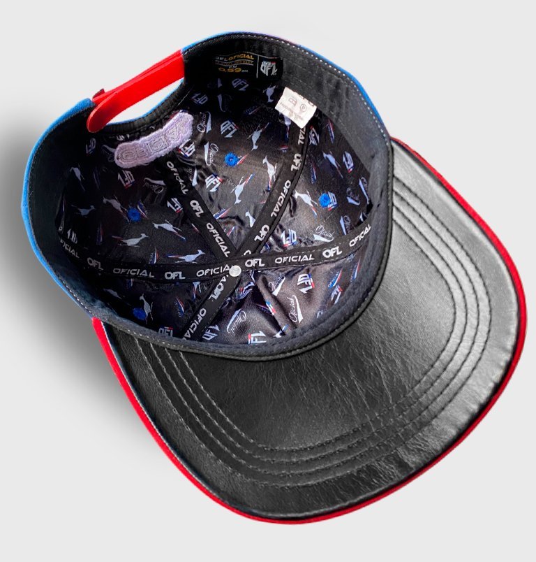 Boné Snapback OFL Duff Beer Camurça Azul