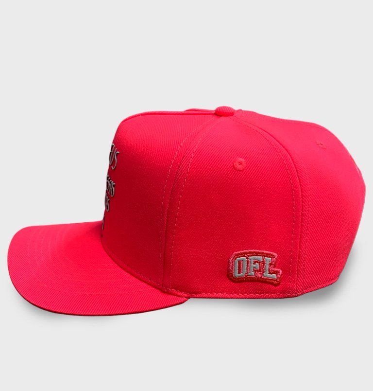Boné Snapback OFL Pessoas Ruins Pink