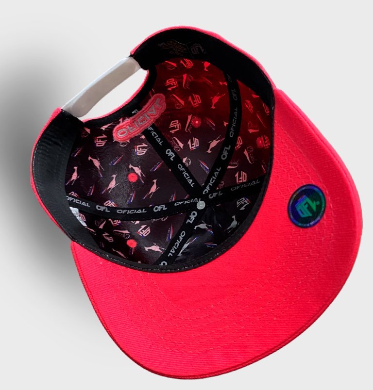 Boné Snapback OFL Pessoas Ruins Pink